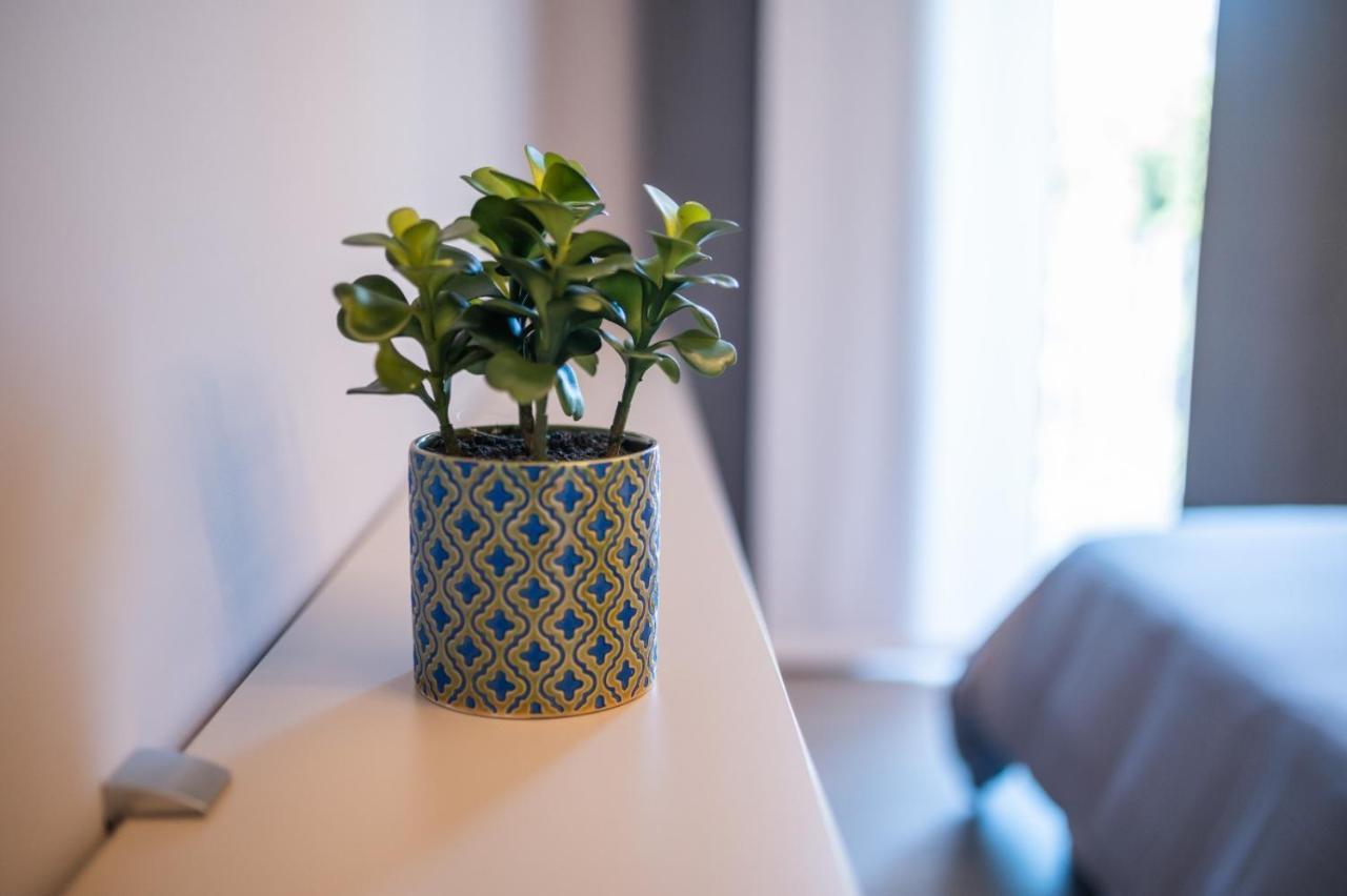 Grey House Guest House Luxury Латина Екстериор снимка